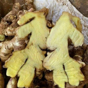 Fresh ginger