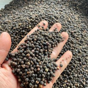 Black Pepper – Vietnam Origin