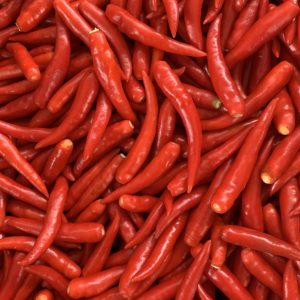 FRESH CHILI
