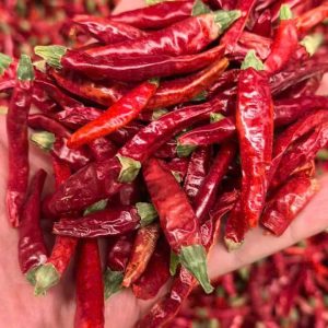 DRIED CHILI WITH STEM